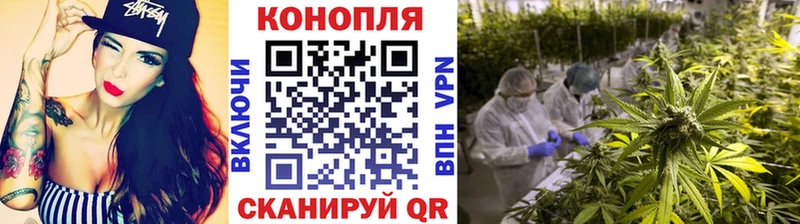 Купить где  Кувшиново  Канабис VHQ 